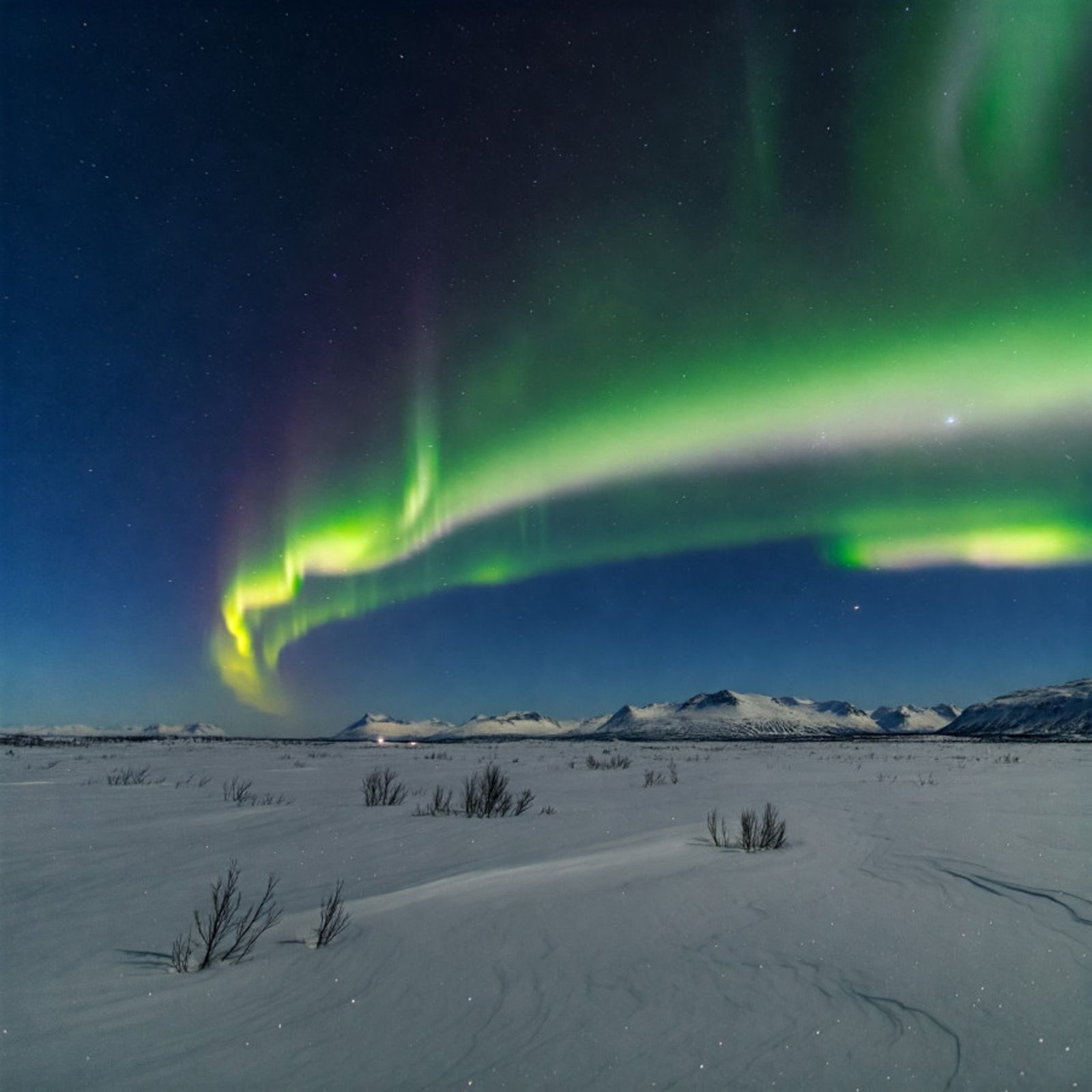 Santa's Aurora Wonderland